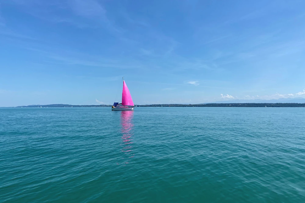 Segelschiff pink